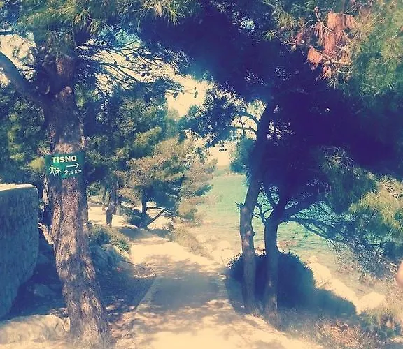 Bernarda, * 제제라